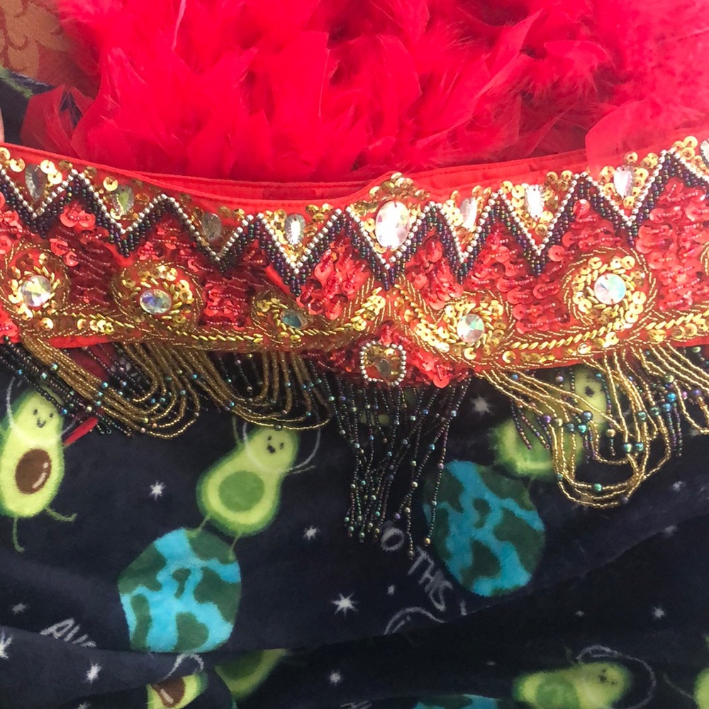 Gently worn custom made showgirl/carnival costume - Picture 9 of 14
